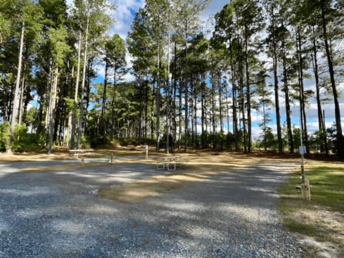 Open RV spaces at site In The Pines RV & Cabin Village
