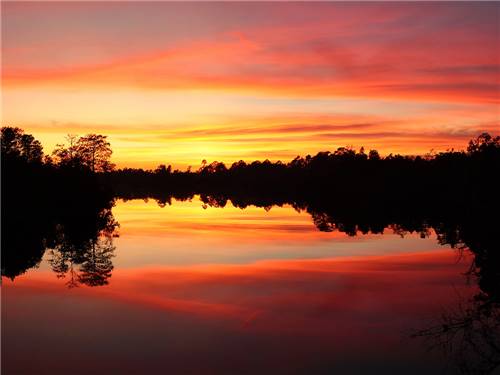Sunset at the park