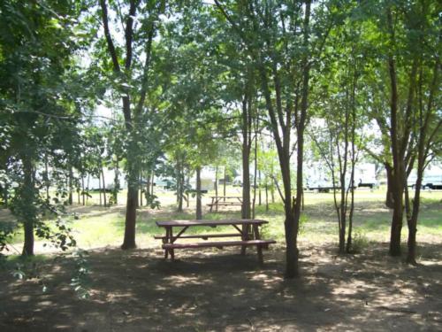 panic table at site Red Deer Villa RV Ranch