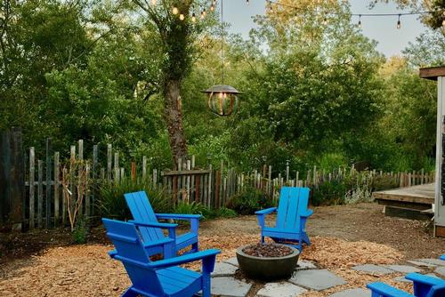 Tree's at site Beach RV Pleasure Point