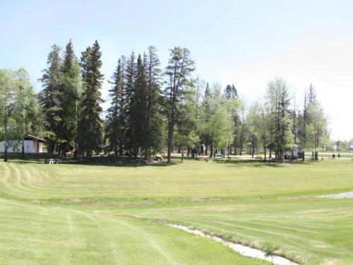 Tall trees by the grass at Edson Lions Park Campground