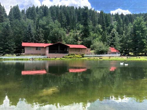Silver Springs RV Park and Trout Pond