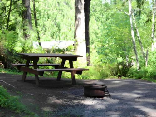 Panic table at Riffe Lake Campground