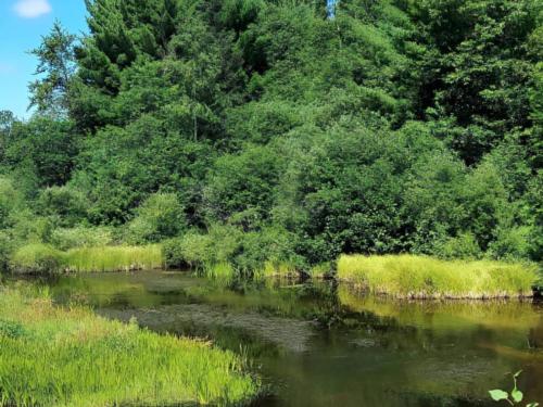 Lake at site Tamarack Springs Campground