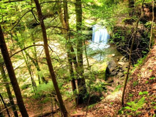 Cumberland Falls RV Resort