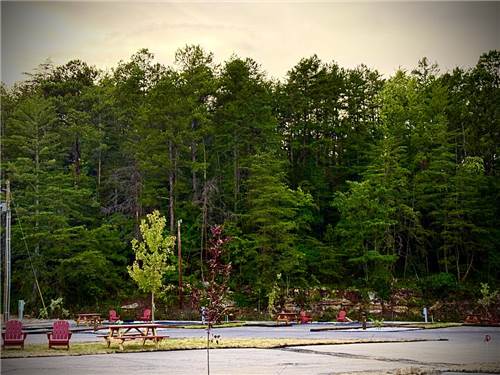 RV sites near a forest setting