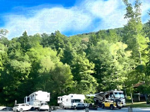 Wilderness Cove Campground