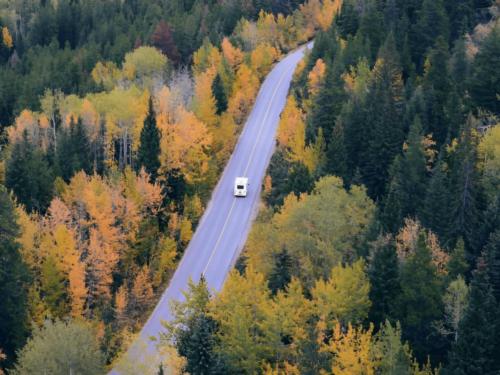 RV driving in the middle of fall trees at Lakeside Timbers RV Campground