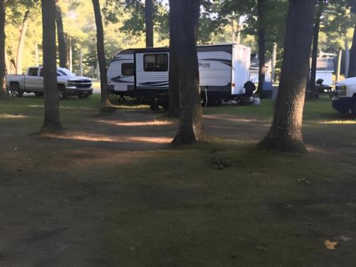 RV parked in a shaded site