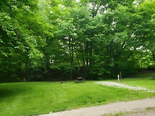 A grassy site at Stetson's Tumble Hill Campground