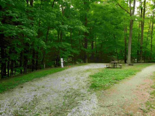Open RV space at site Stetson's Tumble Hill Campground