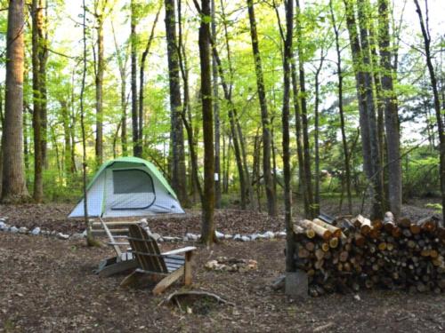 Tent at site Skull Shoals Park & Campground