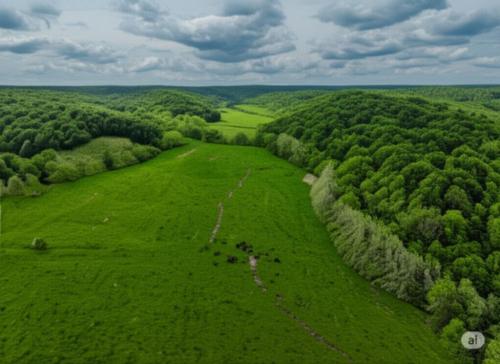 Sinking Creek Ranch