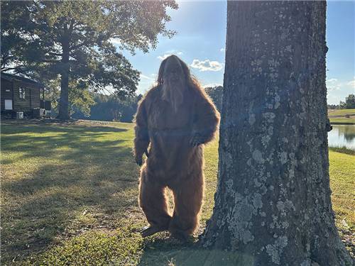 A person in a sasquatch outfit