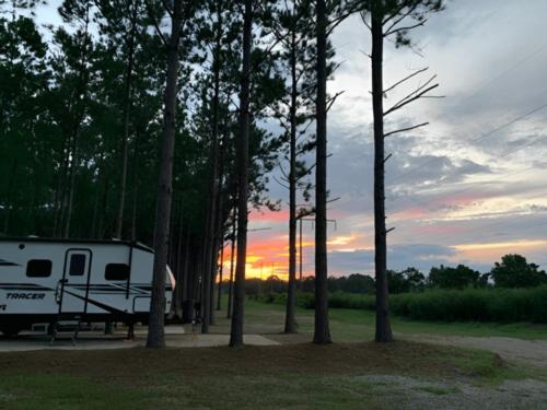 American Robin RV Park & Bird Sanctuary