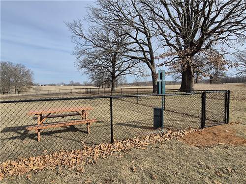The dog park