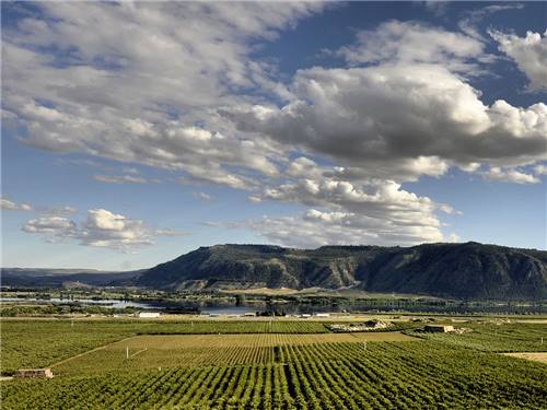 Aerial view of campground area