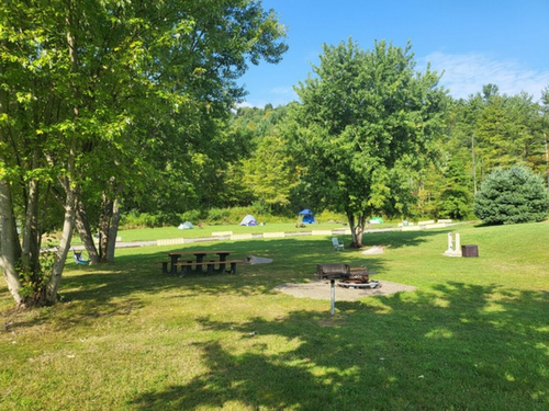 Grassy RV sites at Wood Mountain Campground