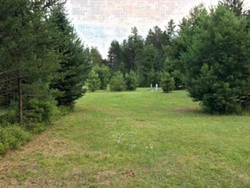 Open grass area at Plum Pines RV Park & Campground