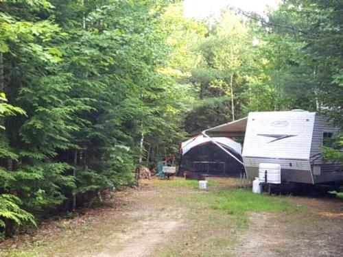 Wild Fox Cabins & Campground