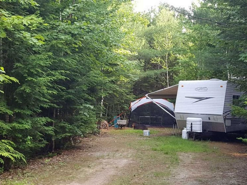 RV site around trees Wild Fox Cabins & Campground