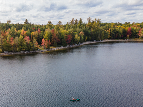 Kayaker in the water Wild Fox Cabins & Campground