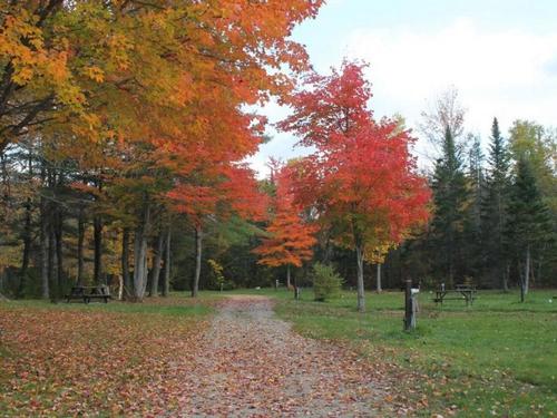 Road way with fall trees at site Mystic Valley Campground