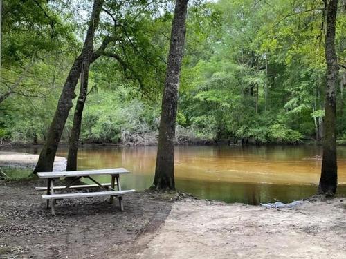 Panic table with lake view at Ohoopee River Campground