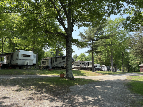 Shady sites at Back Bay Campground
