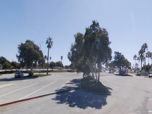 View of the parking lot at Fisherman's Wharf