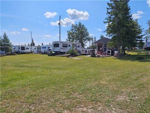Trees by the RV sites