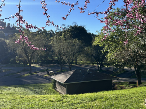 Ridgewood Ranch RV Park & Campground