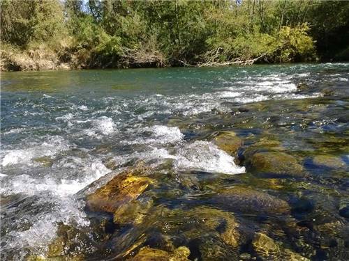 Close view of the river at RIVER REFLECTIONS RV PARK & CAMPGROUND