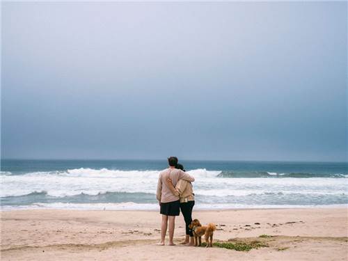 Costanoa