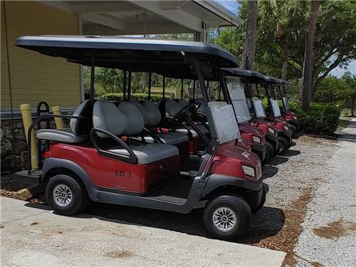 A row of red golf carts