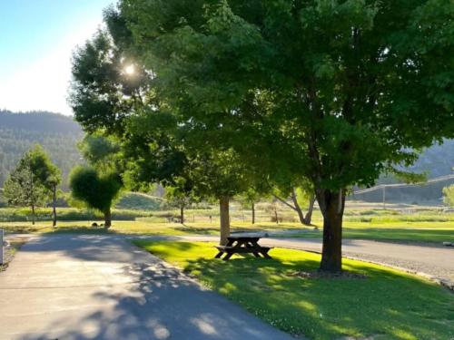 Open RV space at site Winchester RV Resort