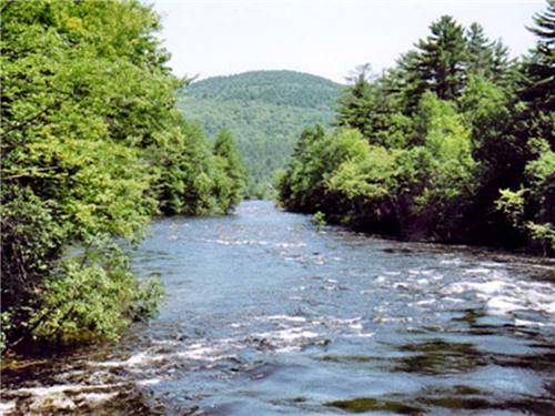 The flowing river surrounded by trees at SCHROON RIVER CAMPGROUND & LODGING