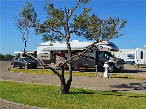 Lodge office at MESA VERDE RV PARK