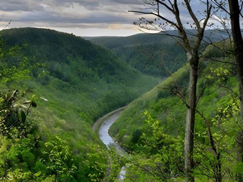 Mountain views at site Austin Campground At Nelson Run