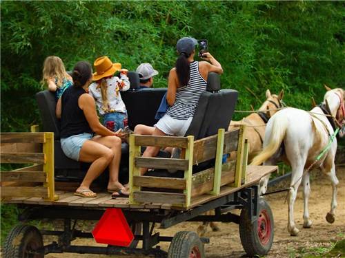 People on a horse drawn hayride