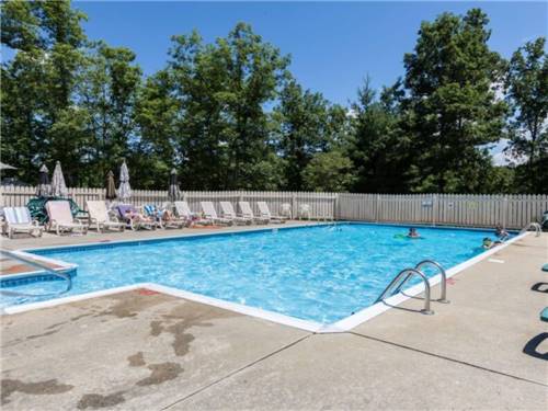 Lounge chairs around the swimming pool