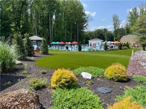 Swimming pool and hot tub under sunny sky at MADISON VINES RV RESORT & COTTAGES