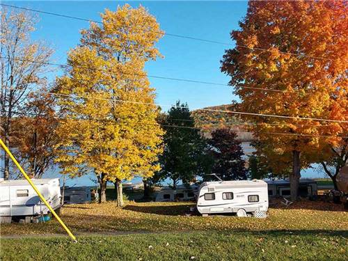 RVs camped near trees at COOL-LEA CAMP