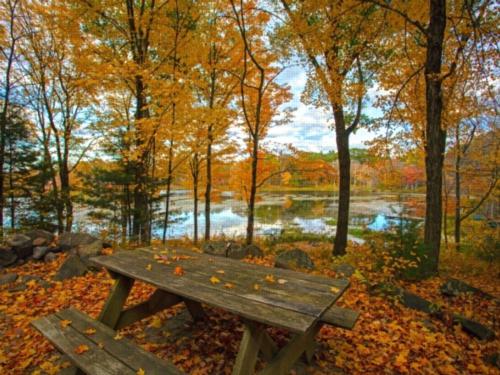 Cozy Hills Campground photo 3