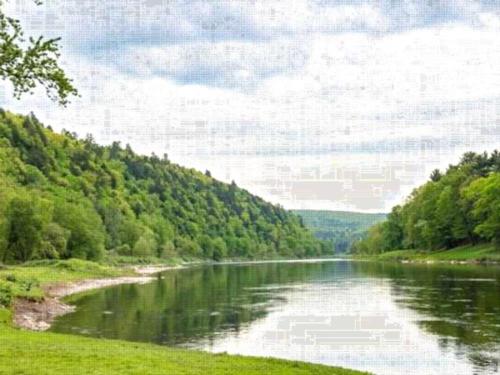 Kittatinny Campgrounds photo 4