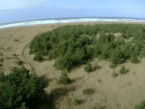 Sandy area by the park Cedar To Surf Campground