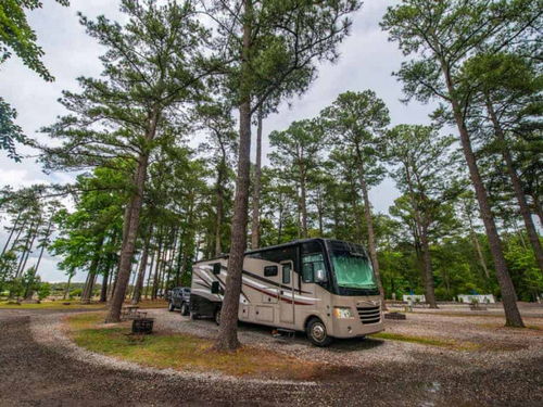 A motorhome at site under tall trees at Camp Cardinal RV Resort