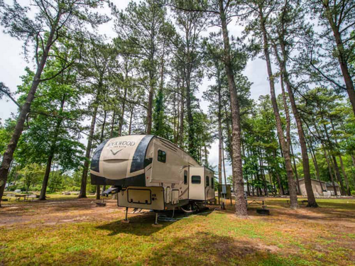 A fifth wheel at site under tall trees at Camp Cardinal RV Resort