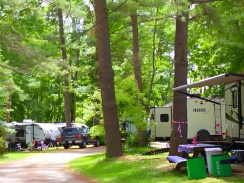 RVs parked in shady sites