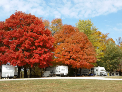 Trailers under large trees in the fall at Yogi Bear's Jellystone Park at Pine Lakes